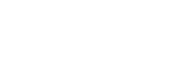 Company logo of 3D Solutions, Inc. showcasing innovative 3D technology.