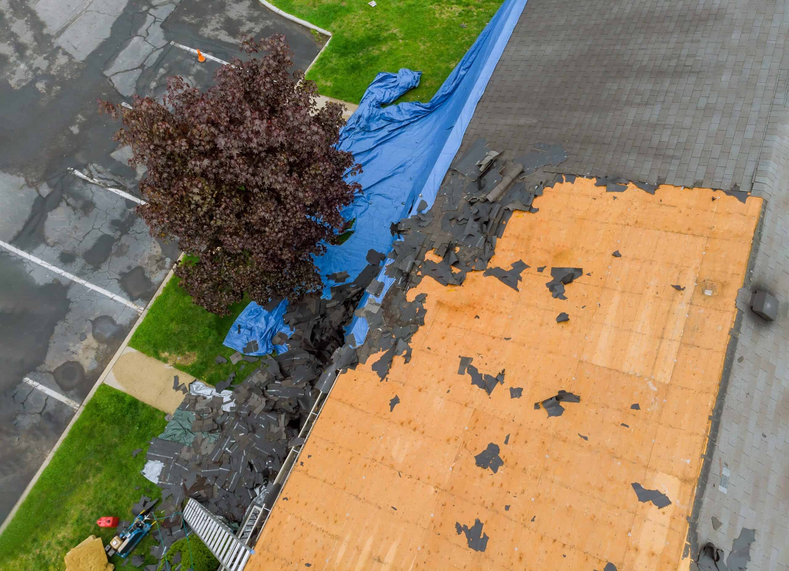 How to Estimate Dumpster Weight and Avoid Overage Fees