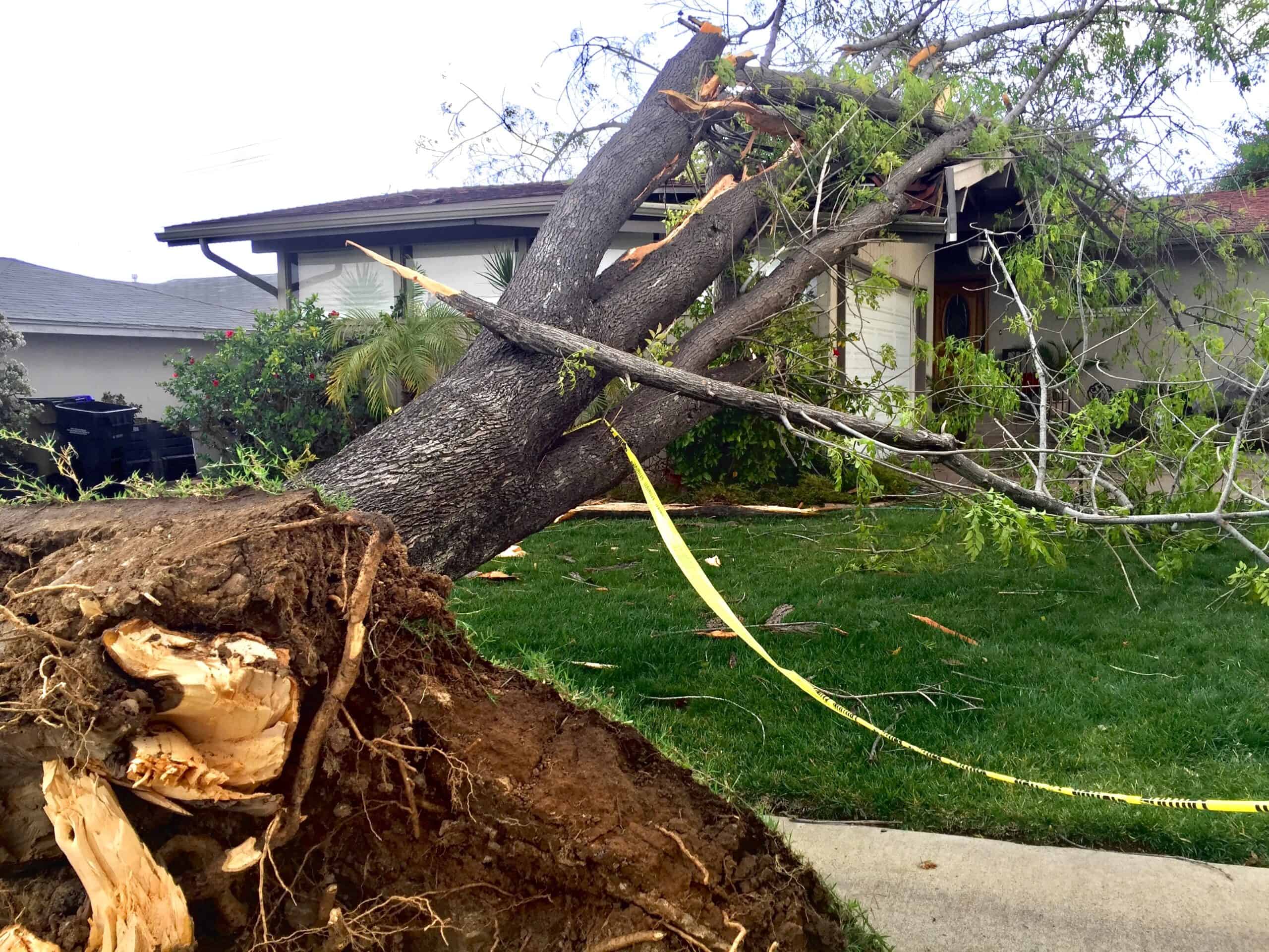 Storm and Derecho Debris Cleanup in the Cedar Valley
