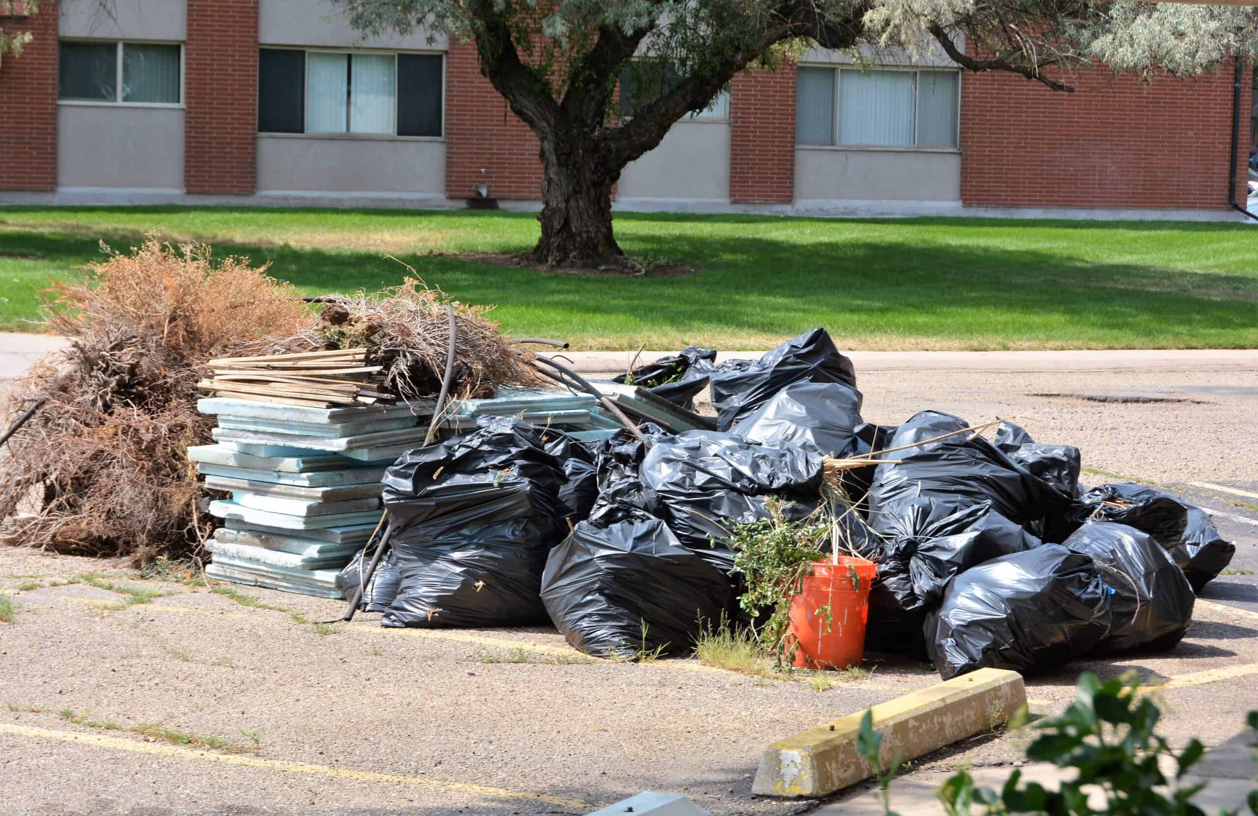 Dumpster Rental vs. City Bulk Trash Pickup